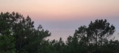 Enlarge photo 67