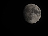 Enlarge photo 136