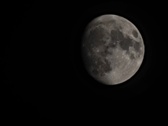 Enlarge photo 134