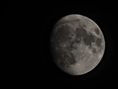 Enlarge photo 133