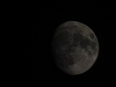 Enlarge photo 132