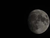 Enlarge photo 131