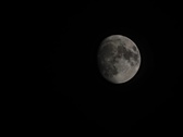 Enlarge photo 130