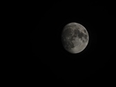 Enlarge photo 129