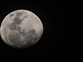 Enlarge photo 127