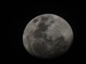 Enlarge photo 126
