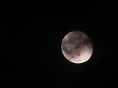 Enlarge photo 103