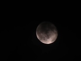 Enlarge photo 125