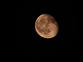 Enlarge photo 92