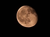 Enlarge photo 91