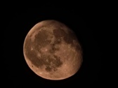 Enlarge photo 90