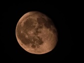 Enlarge photo 89