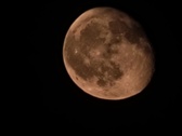 Enlarge photo 88