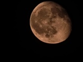 Enlarge photo 87