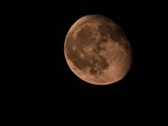 Enlarge photo 85
