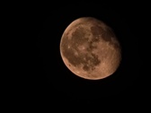 Enlarge photo 84