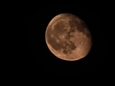 Enlarge photo 83
