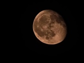Enlarge photo 82