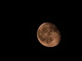 Enlarge photo 81