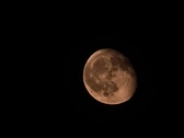 Enlarge photo 80