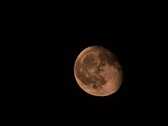 Enlarge photo 79