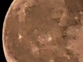 Enlarge photo 78