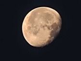 Enlarge photo 123