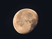 Enlarge photo 121