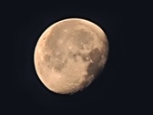 Enlarge photo 119
