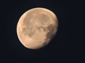 Enlarge photo 118