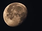 Enlarge photo 114