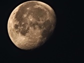 Enlarge photo 113