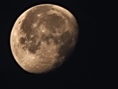 Enlarge photo 124