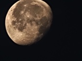 Enlarge photo 122
