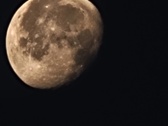 Enlarge photo 120