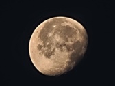 Enlarge photo 112