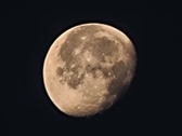 Enlarge photo 117