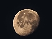 Enlarge photo 115