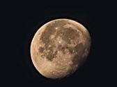 Enlarge photo 116