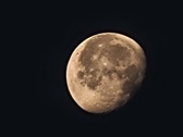 Enlarge photo 63
