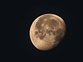 Enlarge photo 110