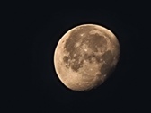 Enlarge photo 109