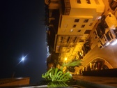 Enlarge photo 59