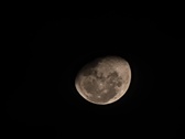 Enlarge photo 58
