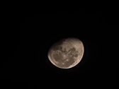 Enlarge photo 57