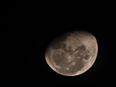 Enlarge photo 56