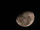 Enlarge photo 55