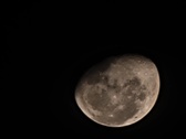Enlarge photo 54