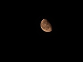 Enlarge photo 46