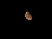 Enlarge photo 45